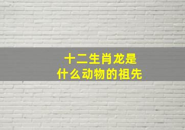 十二生肖龙是什么动物的祖先