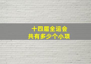 十四届全运会共有多少个小项