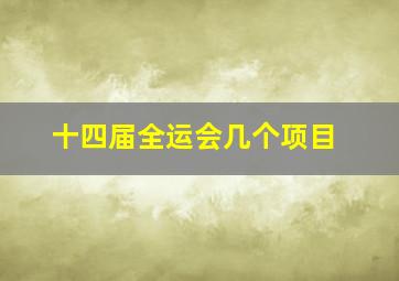 十四届全运会几个项目