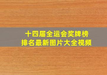 十四届全运会奖牌榜排名最新图片大全视频