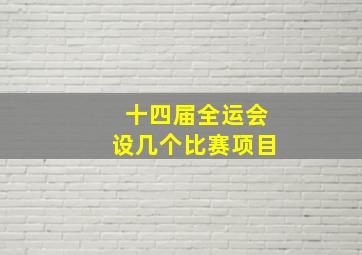 十四届全运会设几个比赛项目