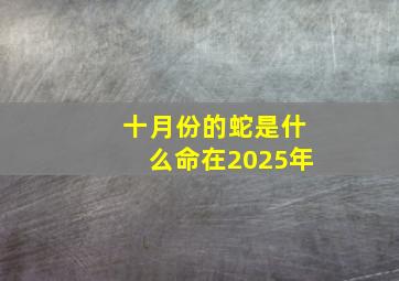 十月份的蛇是什么命在2025年