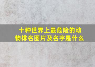 十种世界上最危险的动物排名图片及名字是什么