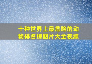 十种世界上最危险的动物排名榜图片大全视频