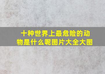 十种世界上最危险的动物是什么呢图片大全大图