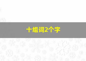 十组词2个字