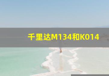 千里达M134和K014