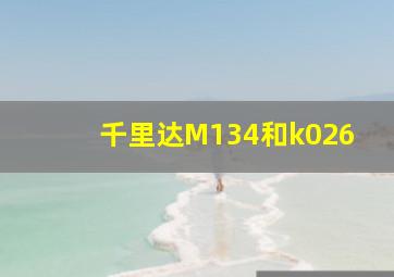 千里达M134和k026