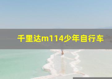 千里达m114少年自行车