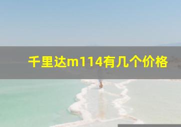 千里达m114有几个价格