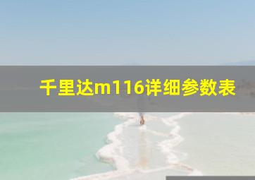 千里达m116详细参数表