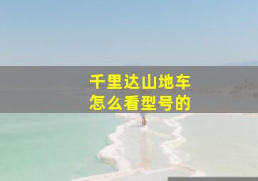 千里达山地车怎么看型号的