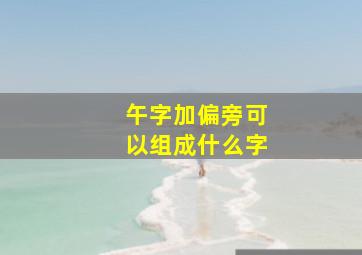 午字加偏旁可以组成什么字