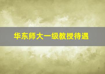 华东师大一级教授待遇