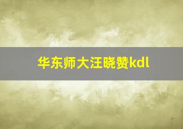 华东师大汪晓赞kdl