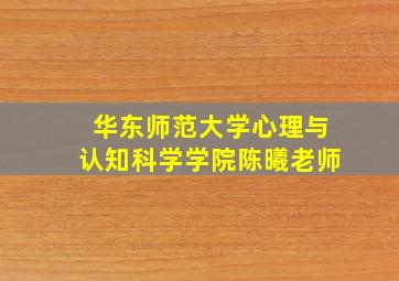 华东师范大学心理与认知科学学院陈曦老师