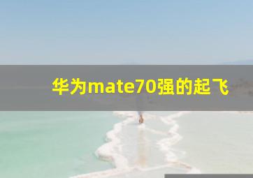 华为mate70强的起飞