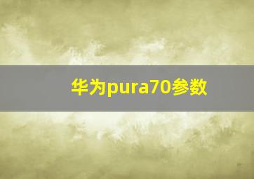 华为pura70参数