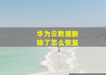 华为云数据删除了怎么恢复