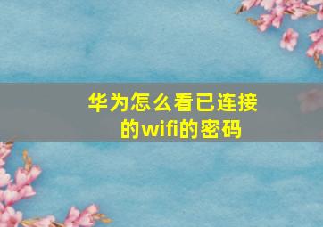 华为怎么看已连接的wifi的密码