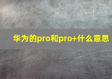 华为的pro和pro+什么意思