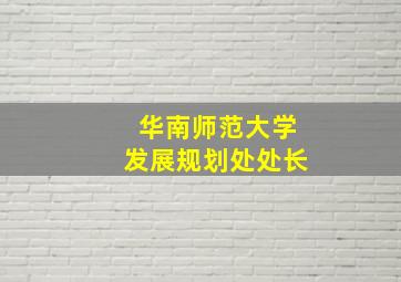 华南师范大学发展规划处处长