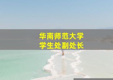 华南师范大学学生处副处长