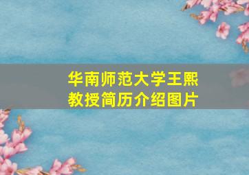 华南师范大学王熙教授简历介绍图片