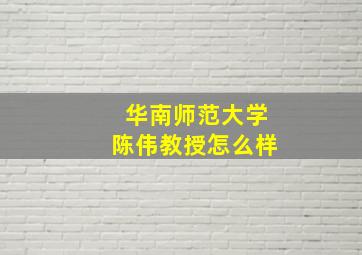 华南师范大学陈伟教授怎么样