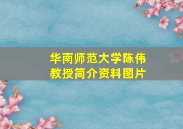 华南师范大学陈伟教授简介资料图片