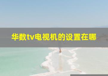 华数tv电视机的设置在哪