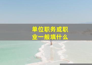 单位职务或职业一般填什么