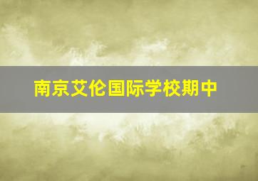 南京艾伦国际学校期中