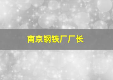 南京钢铁厂厂长