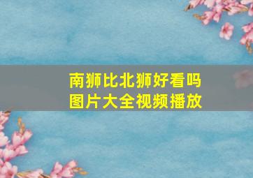 南狮比北狮好看吗图片大全视频播放