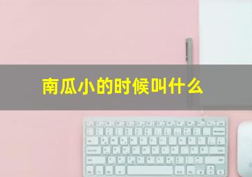 南瓜小的时候叫什么