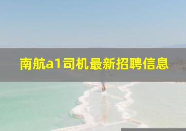 南航a1司机最新招聘信息