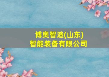 博奥智造(山东)智能装备有限公司