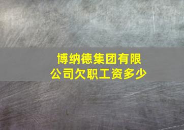 博纳德集团有限公司欠职工资多少