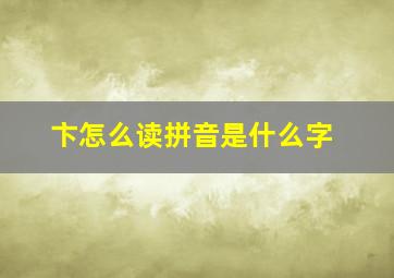 卞怎么读拼音是什么字