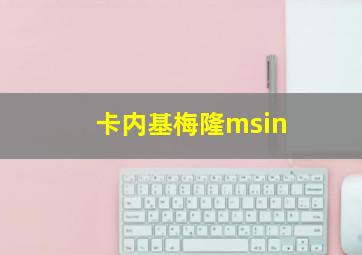 卡内基梅隆msin