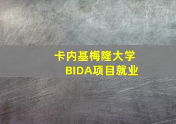 卡内基梅隆大学BIDA项目就业