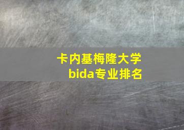 卡内基梅隆大学bida专业排名