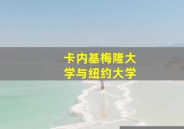 卡内基梅隆大学与纽约大学