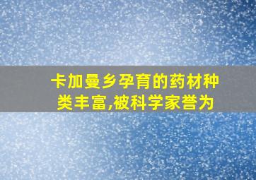 卡加曼乡孕育的药材种类丰富,被科学家誉为