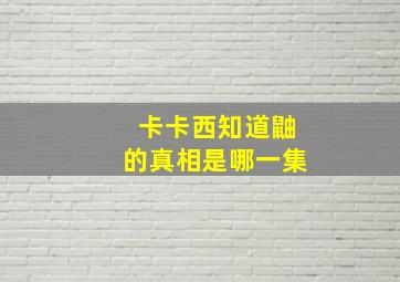 卡卡西知道鼬的真相是哪一集