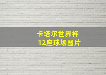 卡塔尔世界杯12座球场图片