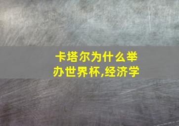 卡塔尔为什么举办世界杯,经济学