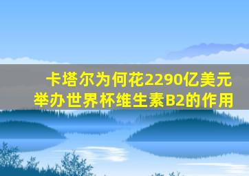 卡塔尔为何花2290亿美元举办世界杯维生素B2的作用