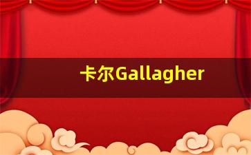 卡尔Gallagher